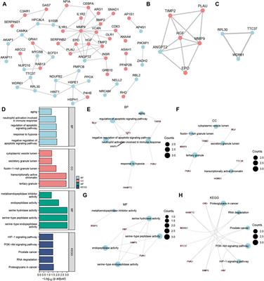Bioinformatics and systems biology approach to identify the pathogenetic link of neurological pain and major depressive disorder